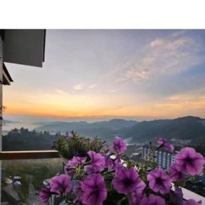 a bunch of purple flowers on a balcony with a view at Kensington Sunrise at Sg Palas,PalasHorizon in Tanah Rata