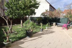 un jardín con un banco y árboles y plantas en Villa avec piscine intérieure en Holtzheim