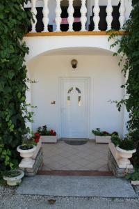 Exteriér nebo vchod ubytování Villa Vilma