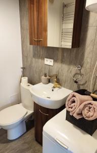 a bathroom with a white sink and a toilet at Apartamenty Urban Concept in Zamość