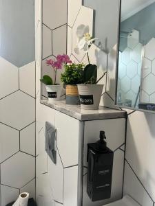 Duemme House - Imazhi 6