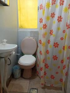 a bathroom with a toilet and a sink at Casa en la Ruta del Vino in Mendoza