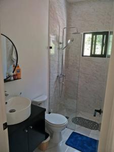ein Bad mit einer Dusche, einem WC und einem Waschbecken in der Unterkunft Bel appartement en loma au calme in Las Terrenas