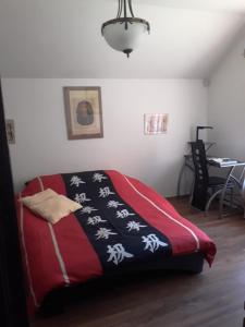 巴克烏的住宿－Casa VIP，一间卧室配有一张带红白毯子的床
