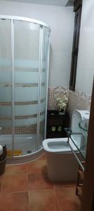 a bathroom with a toilet and a glass shower at La belleza del Tietar in Lanzahita