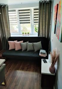 a couch in a living room with a window at Apartamenty Urban Concept in Zamość