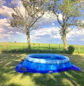 una bañera azul sentada en el césped en un campo en Casa de campo rústica en Tandil
