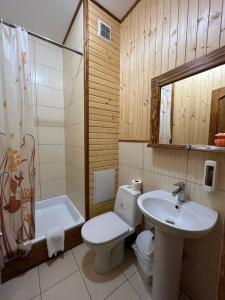 a bathroom with a toilet and a sink and a tub at Zarichna Lyks in Slavske