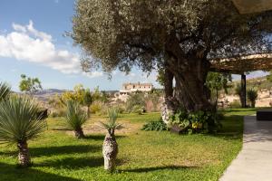 a llama standing in the grass next to a tree at Buahjar Boutique Home Apartment in Agrigento