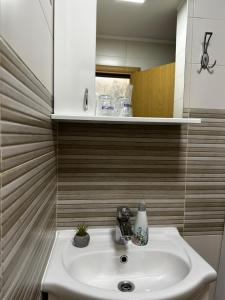 Koupelna v ubytování Apartmani Lotus Vrdnik