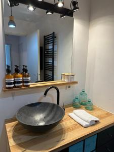 Kuhinja ili čajna kuhinja u objektu Le Balcon de Léo - Proche centre & Parc des expos