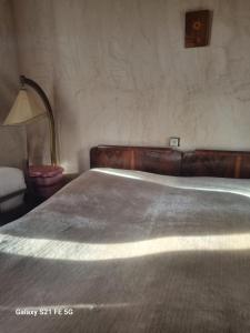 un dormitorio con una cama y una lámpara junto a ella en Happy Martkofi, en Gardabani