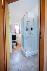 a bathroom with a glass shower and a toilet at Modernes Appartement in Graz