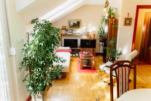 a living room with potted plants on the walls at Apartman Zamak Sombor in Sombor