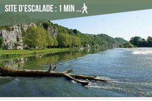 une photo d'une rivière avec une branche d'arbres dans l'eau dans l'établissement L'Alcôve des Ondines, à Rochefort-sur-Nenon