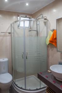 a bathroom with a shower and a toilet and a sink at Villa Thalassa Stavromenos beach in Magnisía