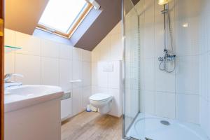 a bathroom with a shower and a toilet and a sink at Au Coeur du Bois in Rendeux +30 photos