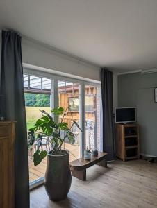 un salon avec une plante en pot et une grande fenêtre dans l'établissement Ferienhaus Seestern in Reinbek, à Reinbek