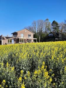 a field of yellow flowers in front of a house at Ferienhaus Seestern in Reinbek in Reinbek