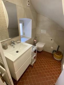 La salle de bains est pourvue d'un lavabo et de toilettes. dans l'établissement NEW Grand Studio Plein centre Clermont-Ferrand, à Clermont-Ferrand