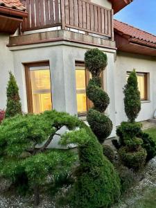 a house with a bunch of bushes in front of it at Family house in Wieliczka