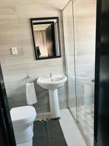 een badkamer met een wastafel, een toilet en een spiegel bij The Curve Apartments Unit 19 in Johannesburg