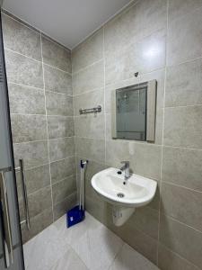 bagno con lavandino e specchio di Karak Plaza Apartments a Kerak