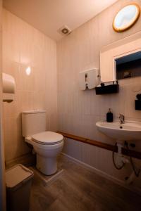 a bathroom with a toilet and a sink at Viesu māja Stadula in Skrunda