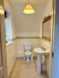 a bathroom with a toilet and a sink at Stunning City Centre Apartments in Waterford