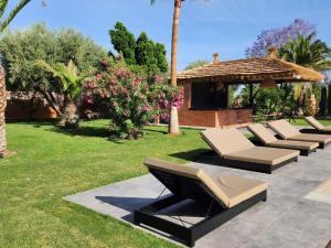 a row of lounge chairs sitting in a yard at Domaine K Marrakech in Marrakesh
