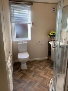 a bathroom with a toilet and a window and a shower at Tulip Lodge with Hot Tub in Malton