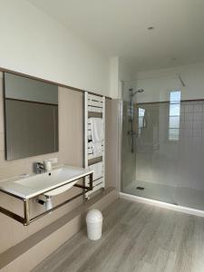 La salle de bains est pourvue d'un lavabo et d'une douche. dans l'établissement Hotel The Originals Château de Perigny, à Vouillé