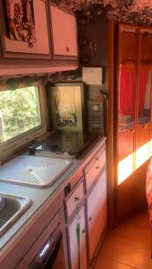 uma cozinha com um lavatório e um balcão em Camping car fixe dans la campagne em Pianottoli-Caldarello