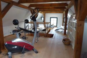 RattelvitzにあるGut Rattelvitz - Galerie Westのジム(トレッドミル、エアロバイク付)