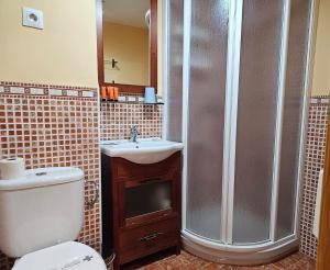 シエラネバダにあるIMEDA Penibetico Sierra Nevadaのバスルーム(シャワー、トイレ、シンク付)