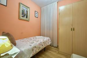 1 dormitorio pequeño con 1 cama y armario en Apartamento Carlos-1, en Madrid