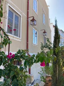 a building with windows and flowers in front of it at Junqueira Gardens - Casa Antiga Jardim e Piscina in Lisbon