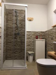 een badkamer met een douche en een toilet bij B&B Il Mulino alla Busa in Vallarsa