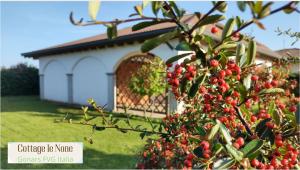 un árbol con bayas rojas delante de un edificio en Cottage "Le None"-villa e giardino, en Gonàrs