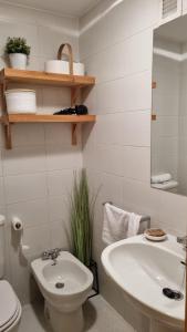 La salle de bains est pourvue d'un lavabo, de toilettes et d'un miroir. dans l'établissement ssolivellasscanfranc, à Canfranc-Estación