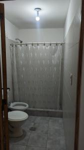 y baño con aseo y cortina de ducha. en Posada Pueyrredón en Luján de Cuyo