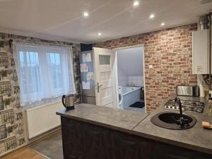 een keuken met een wastafel en een bakstenen muur bij Przestronny apartament +siłownia in Bytom +6 foto's
