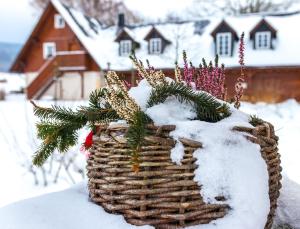 Hotel U Pekaře - Jítravský Dvorec en invierno