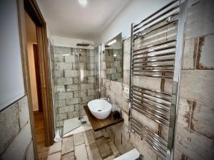 ein Bad mit einem Waschbecken und einer Dusche in der Unterkunft Hotel Pinguino in Pescasseroli
