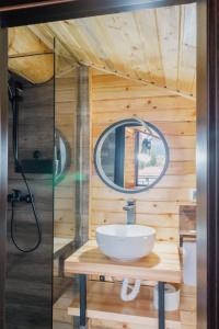 a bathroom with a sink and a mirror at Chalet Ciocanesti in Ciocăneşti