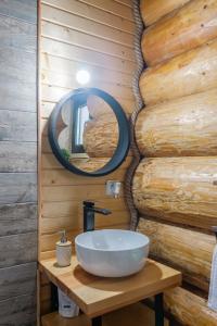 a bathroom with a white sink and a mirror at Chalet Ciocanesti in Ciocăneşti