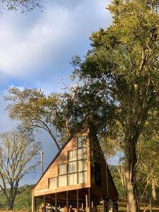 a house with large windows and a tree at Aslaug Chalé in Urubici +50 photos