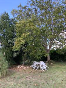 dos mesas blancas de picnic sentadas bajo un árbol en AL MANDORLO Casa Vacanze en Viterbo