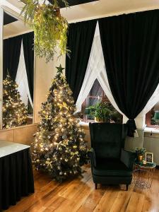 a living room with a christmas tree and a chair at Great Polonia Świdnica City Center in Świdnica