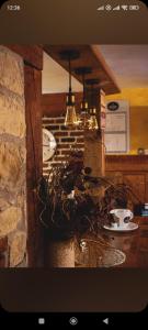 uma imagem de uma cozinha com uma planta num vaso em Вила Тодора Villa Todora em Vratsa